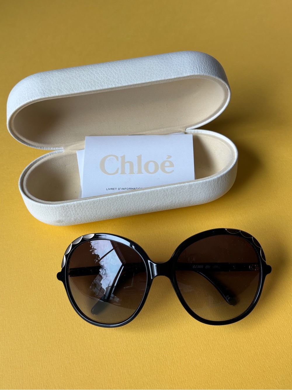 Chloé Erine - Oversized Sunglasses with Gold Accents - Picture 11 of 13